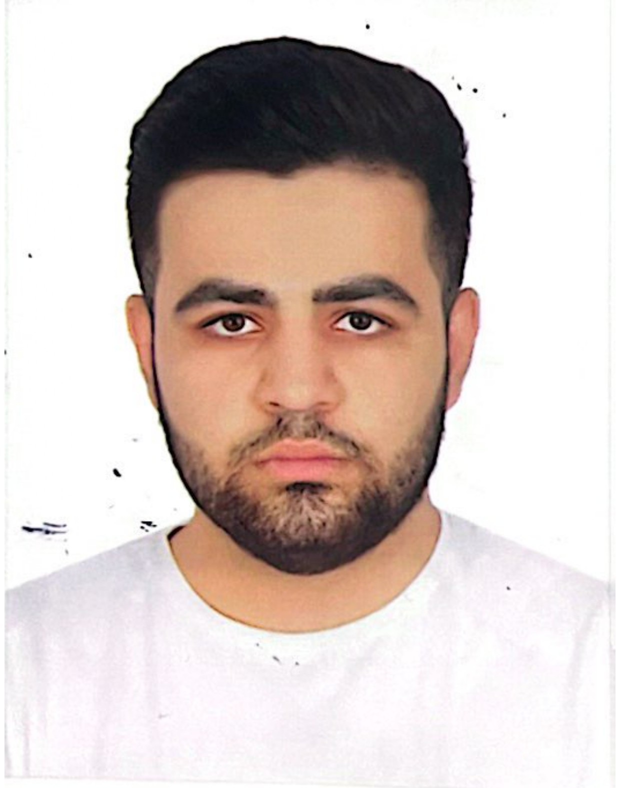 Sajjad Hosseini